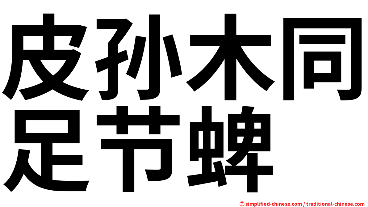 皮孙木同足节蜱