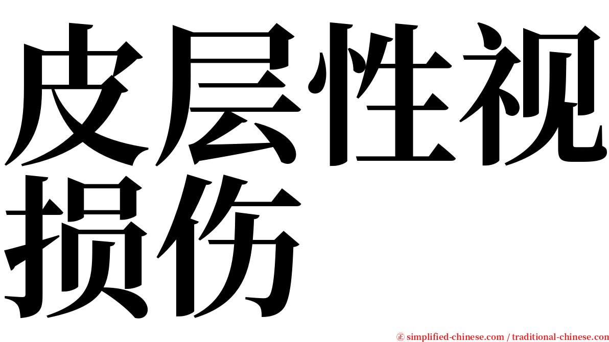 皮层性视损伤 serif font
