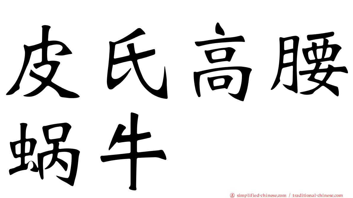 皮氏高腰蜗牛
