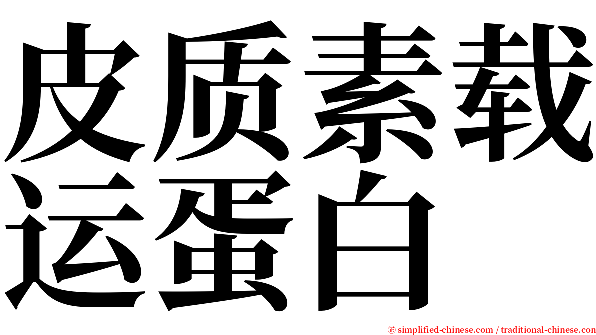 皮质素载运蛋白 serif font