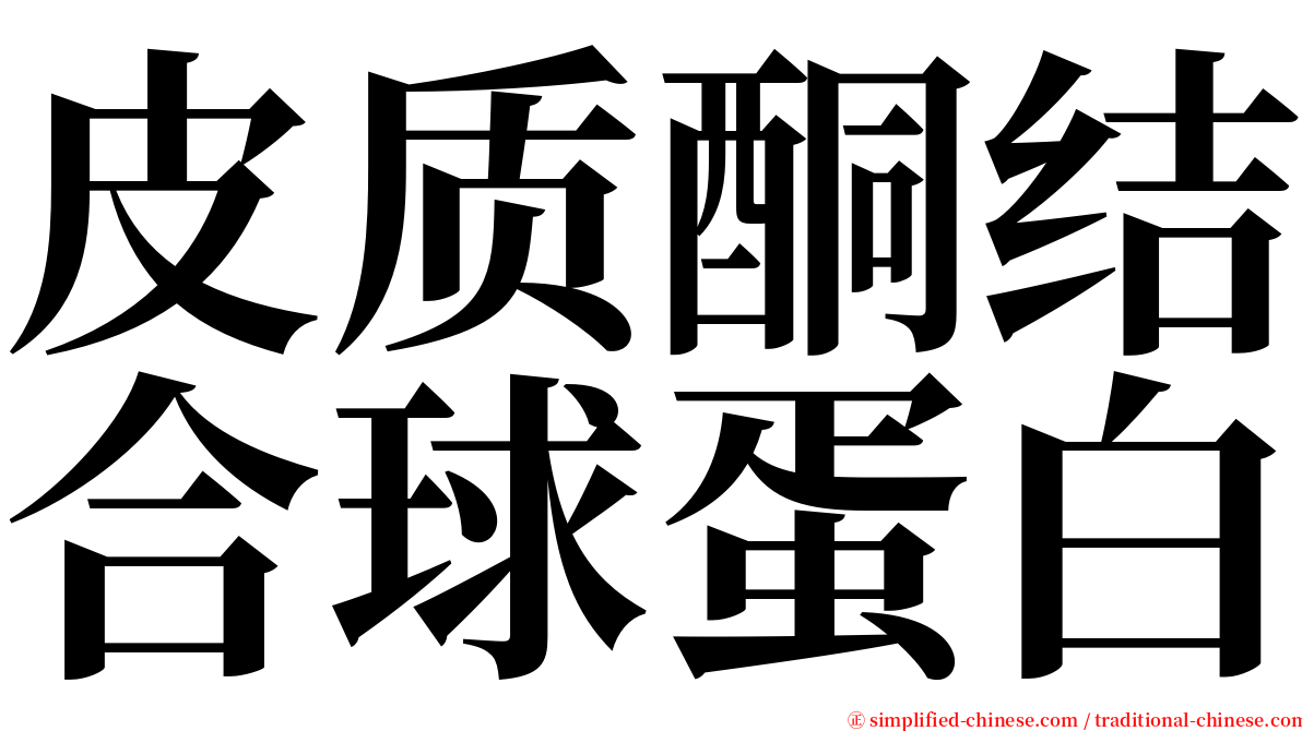 皮质酮结合球蛋白 serif font