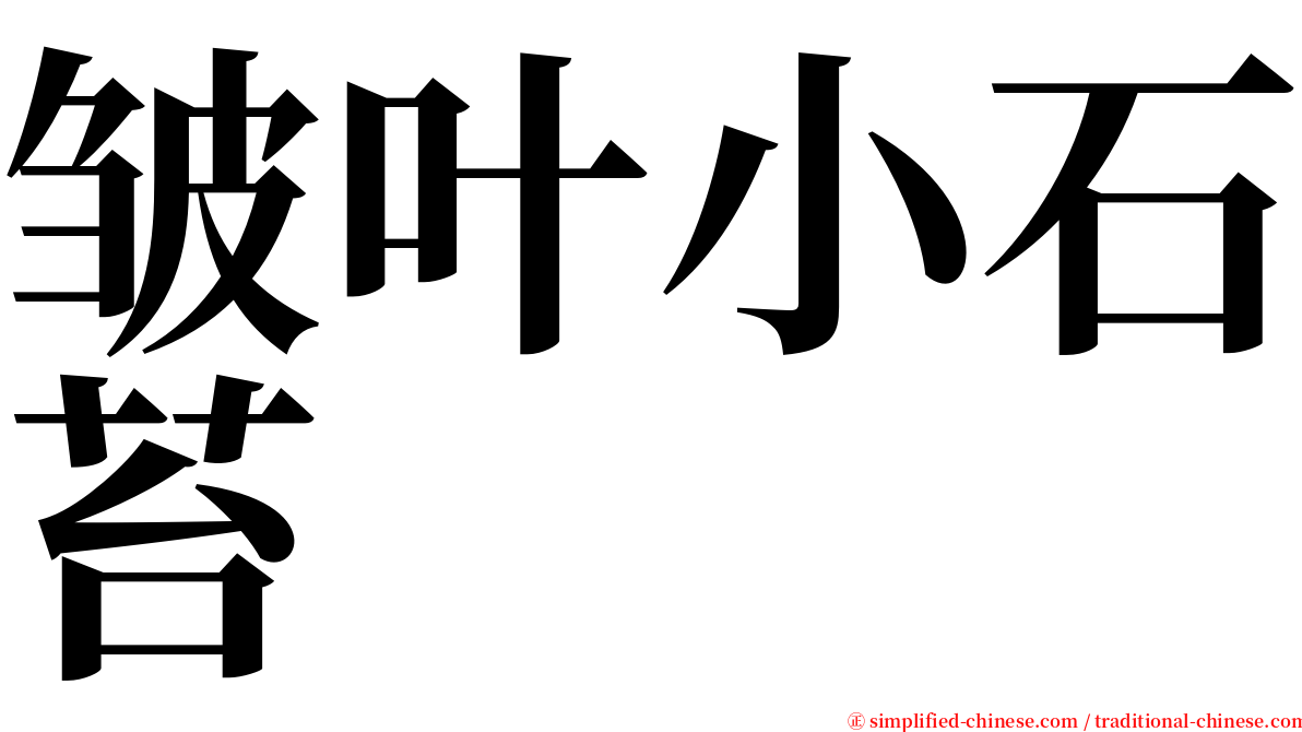 皱叶小石苔 serif font
