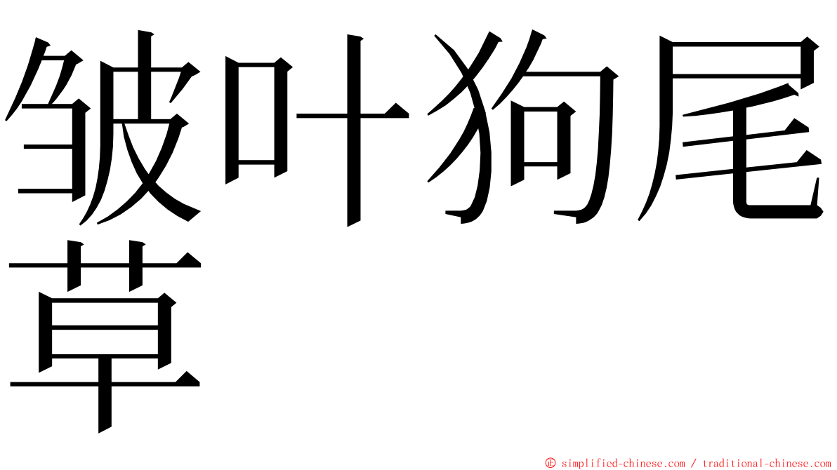 皱叶狗尾草 ming font