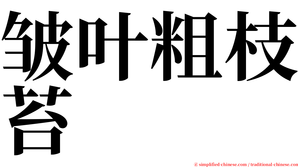 皱叶粗枝苔 serif font