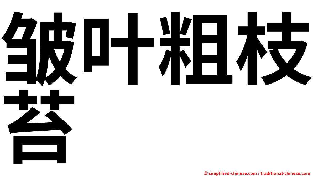皱叶粗枝苔