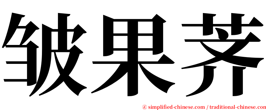 皱果荠 serif font