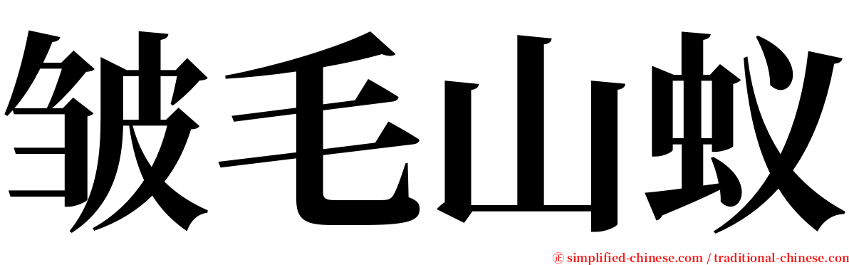 皱毛山蚁 serif font