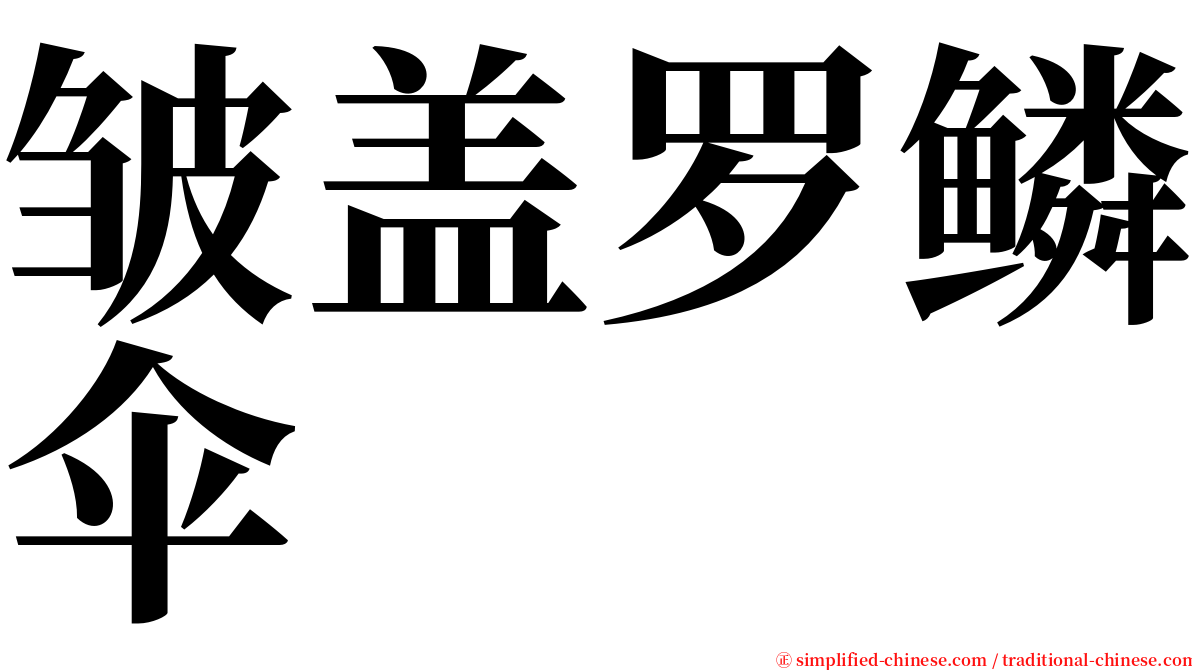 皱盖罗鳞伞 serif font