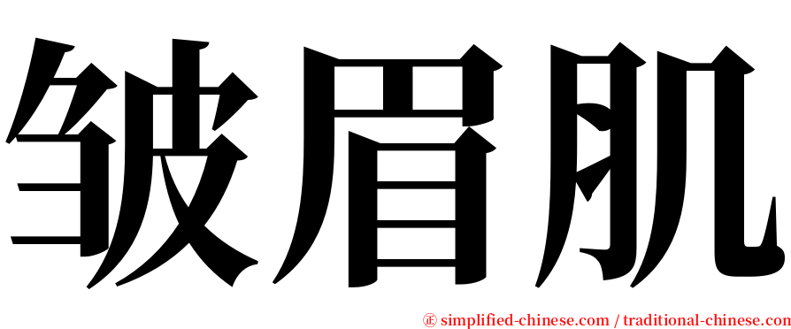 皱眉肌 serif font