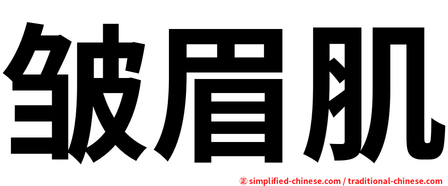 皱眉肌