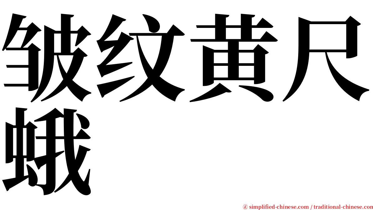 皱纹黄尺蛾 serif font