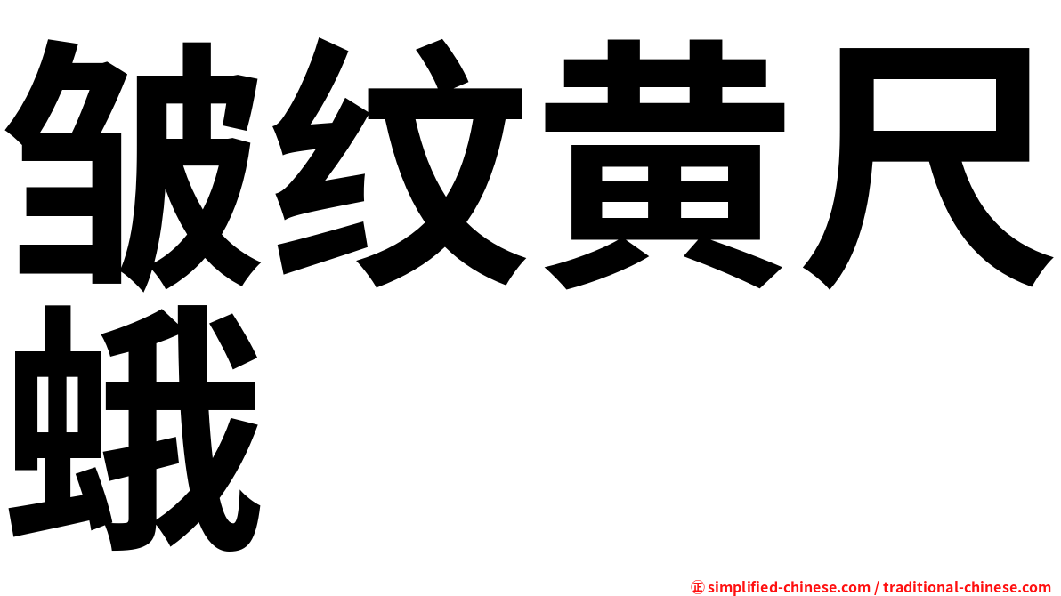 皱纹黄尺蛾