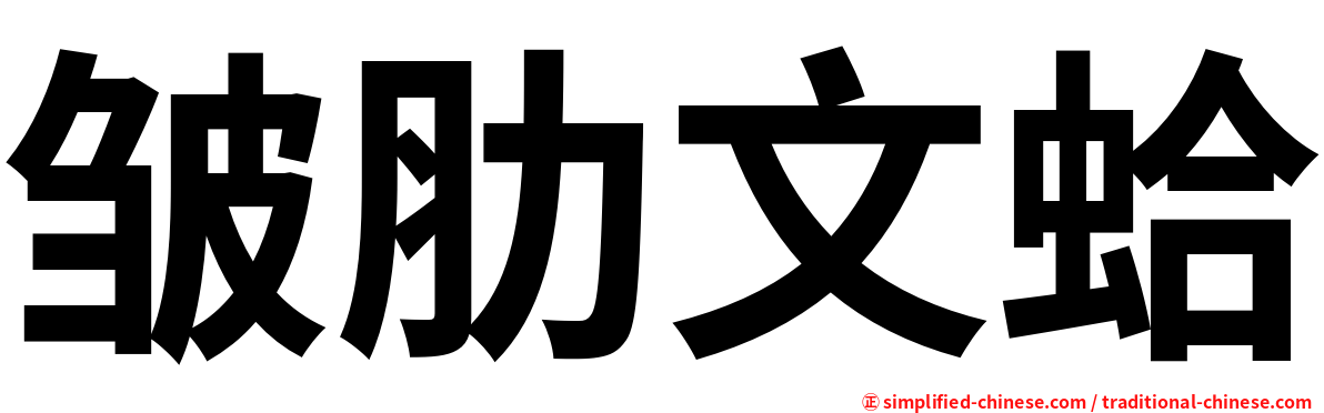 皱肋文蛤