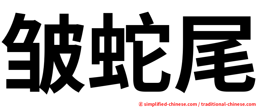皱蛇尾