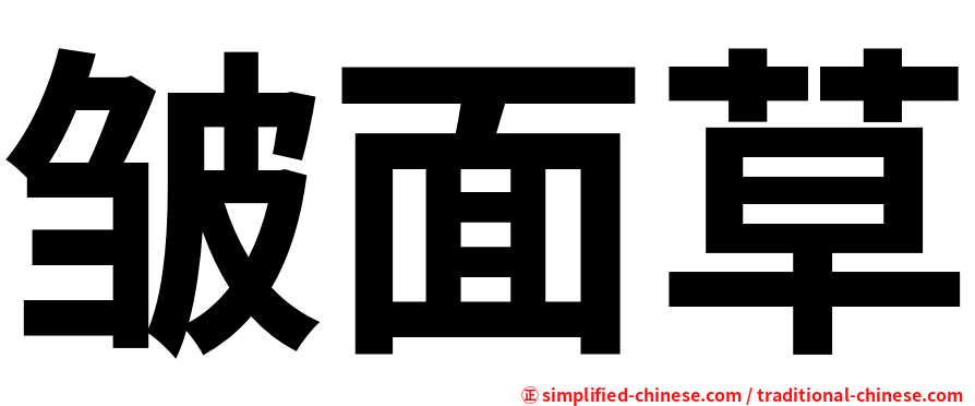 皱面草