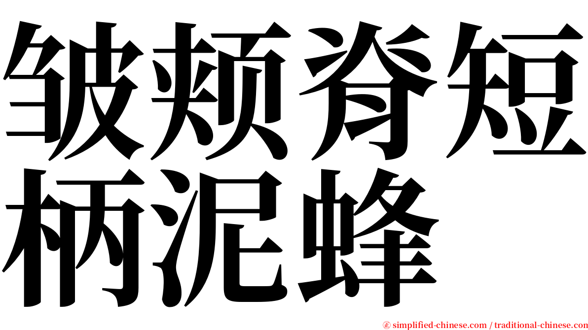 皱颊脊短柄泥蜂 serif font
