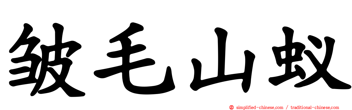 皱毛山蚁