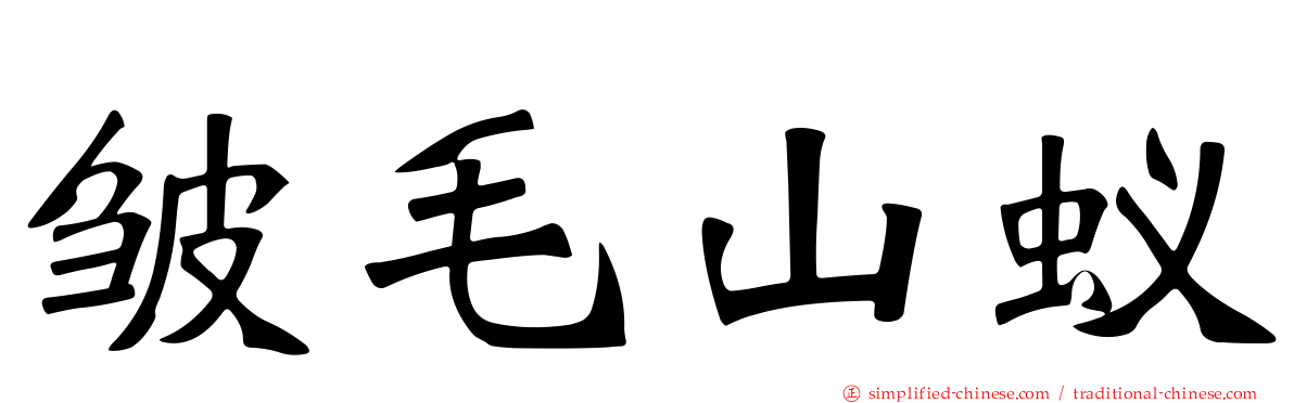 皱毛山蚁
