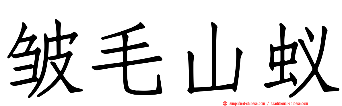 皱毛山蚁
