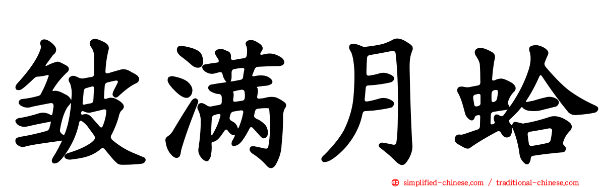 皱满月蛤