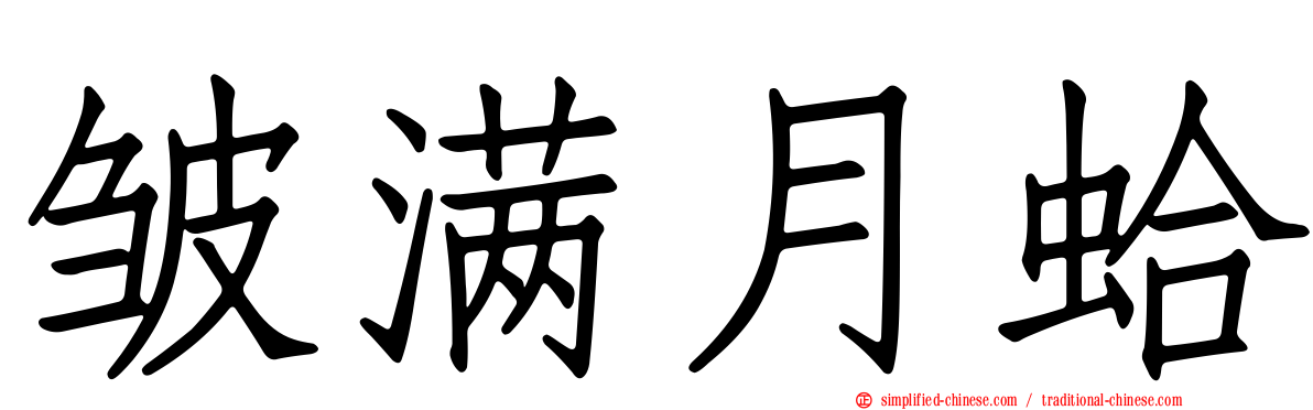 皱满月蛤