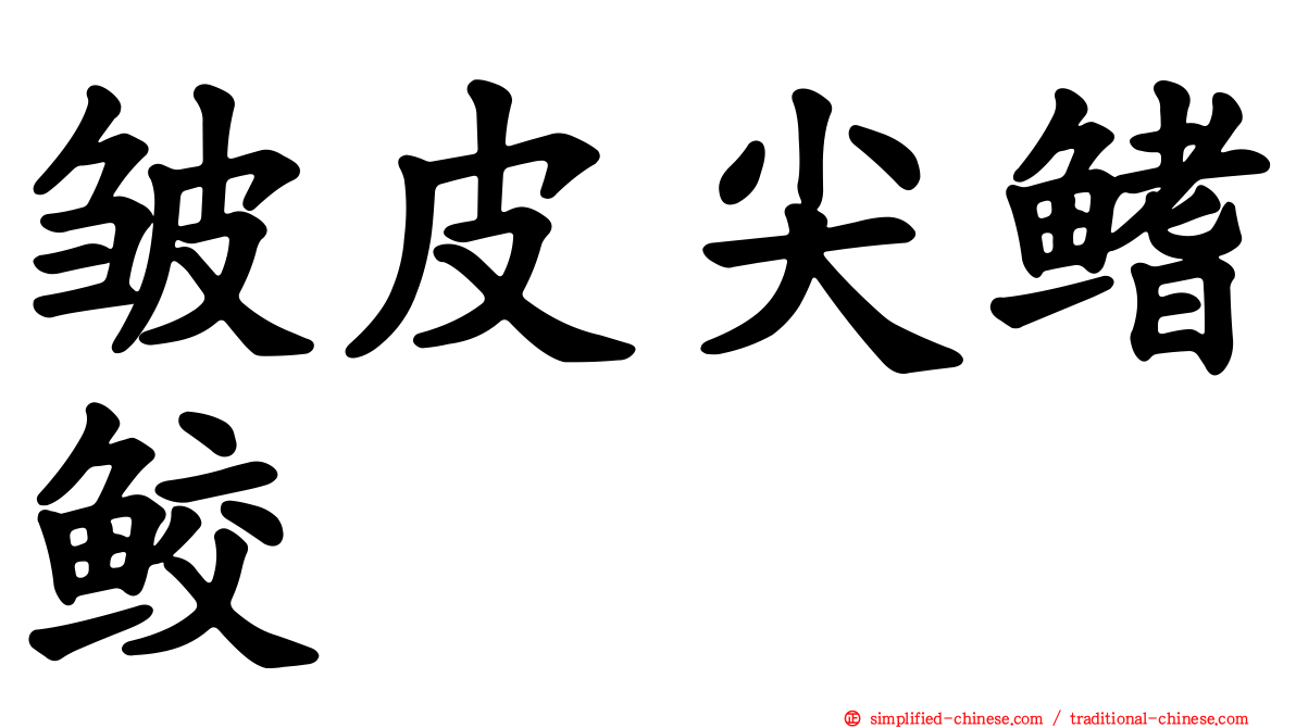 皱皮尖鳍鲛