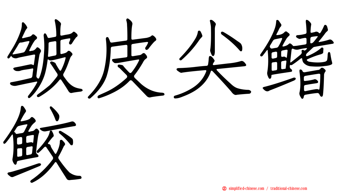 皱皮尖鳍鲛