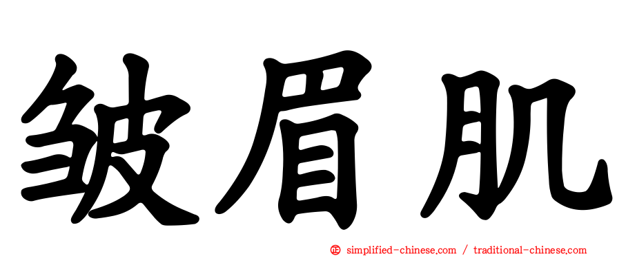 皱眉肌