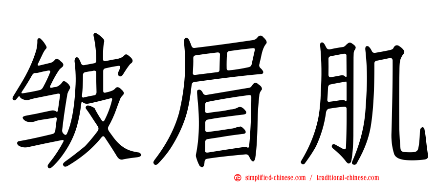 皱眉肌