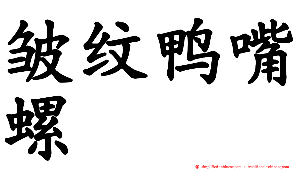 皱纹鸭嘴螺