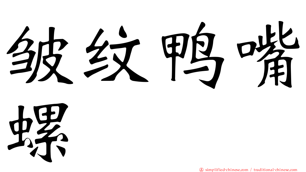 皱纹鸭嘴螺