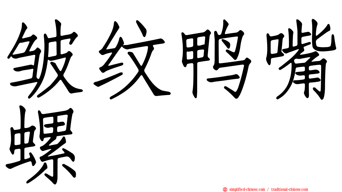 皱纹鸭嘴螺
