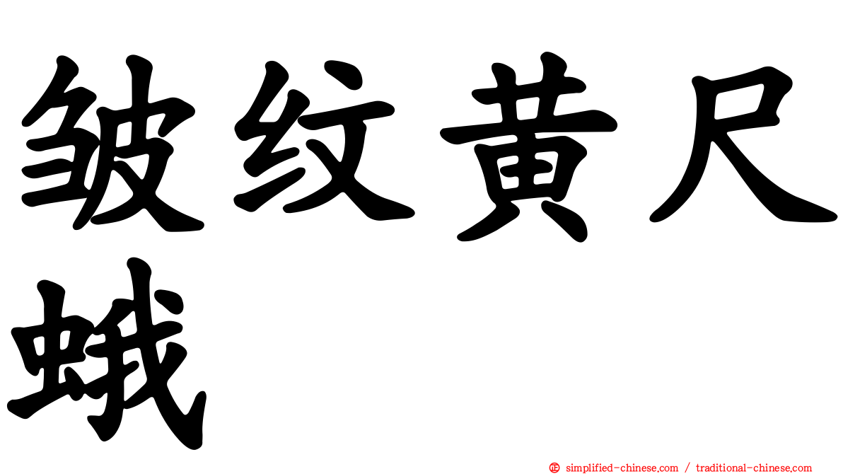 皱纹黄尺蛾
