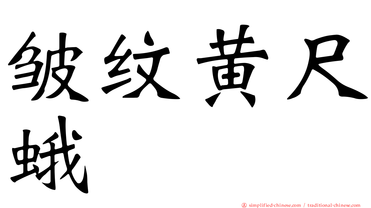 皱纹黄尺蛾