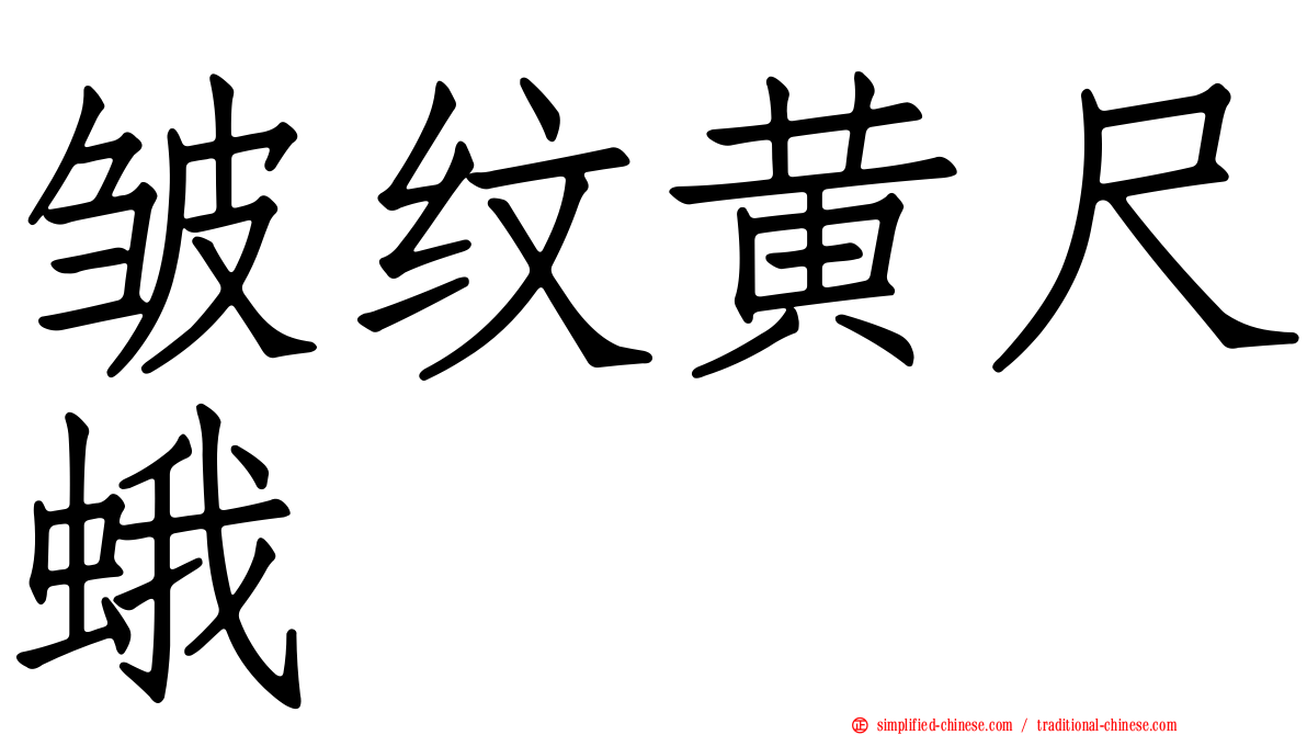 皱纹黄尺蛾