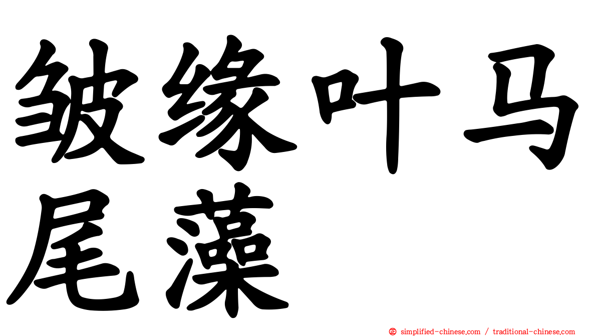 皱缘叶马尾藻
