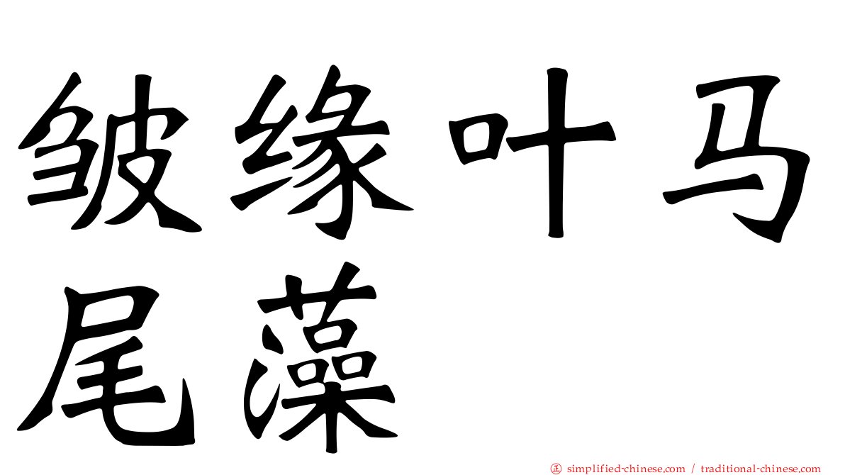 皱缘叶马尾藻