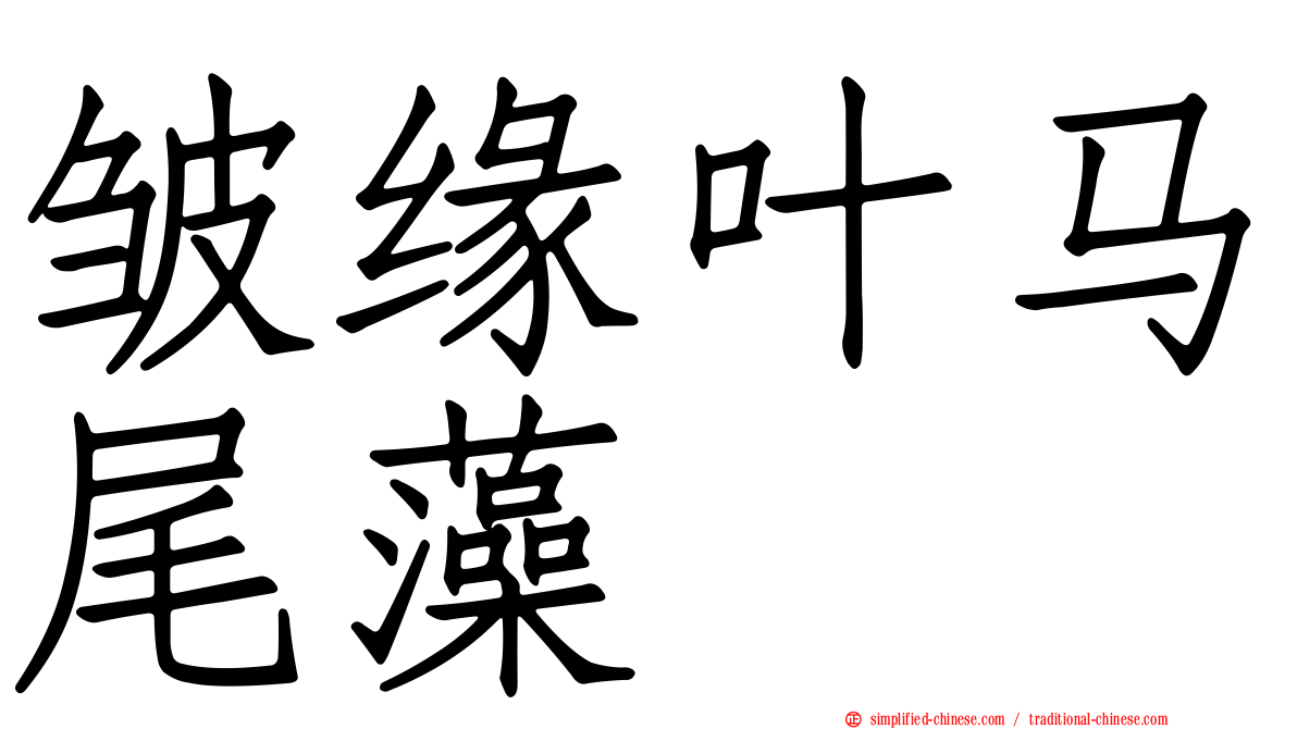 皱缘叶马尾藻