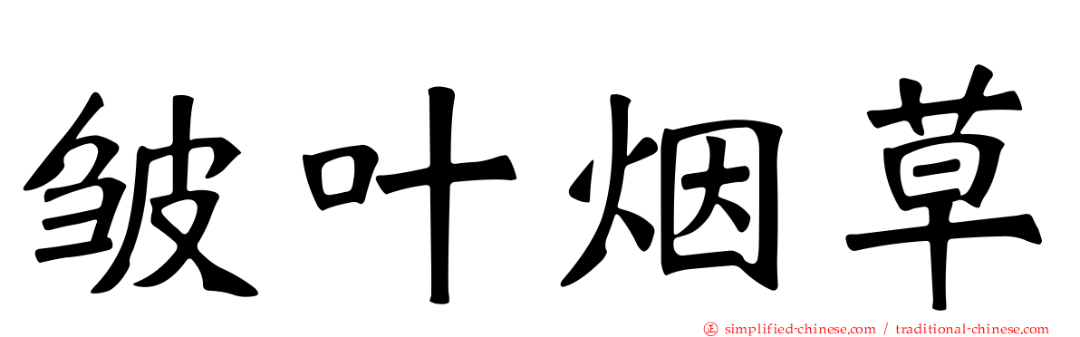 皱叶烟草
