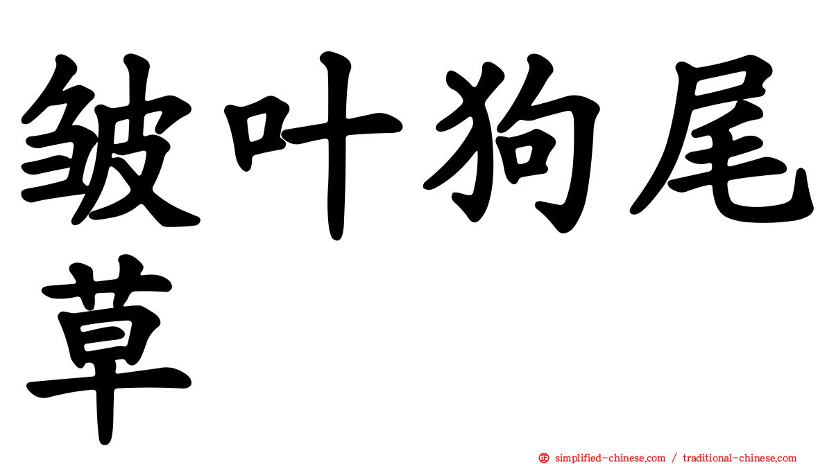 皱叶狗尾草