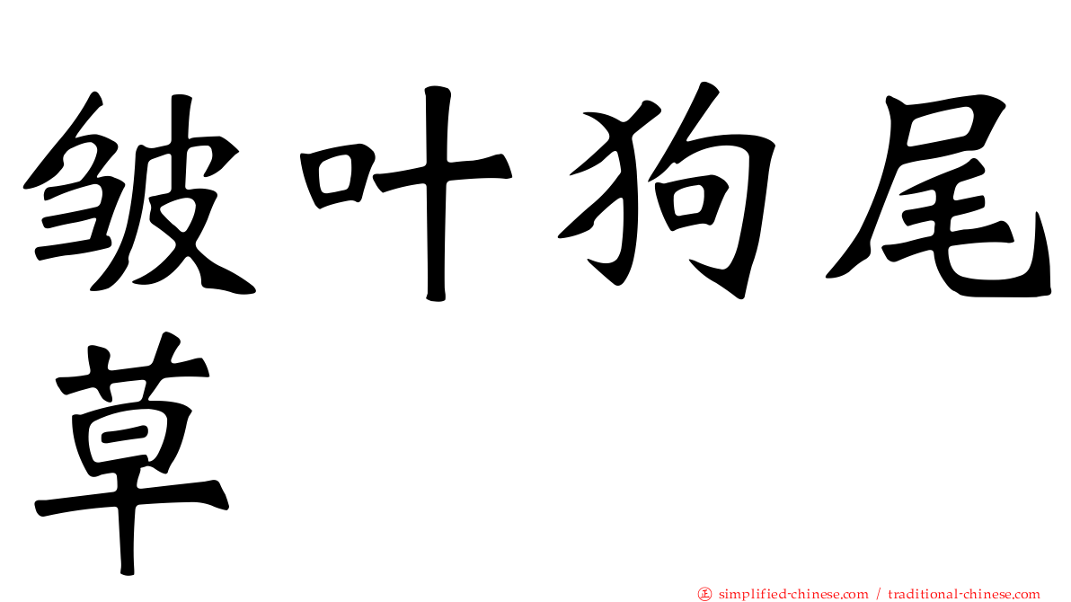 皱叶狗尾草