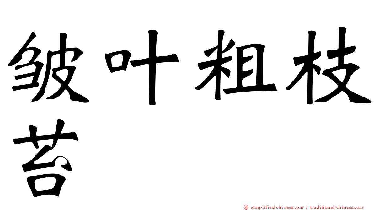 皱叶粗枝苔