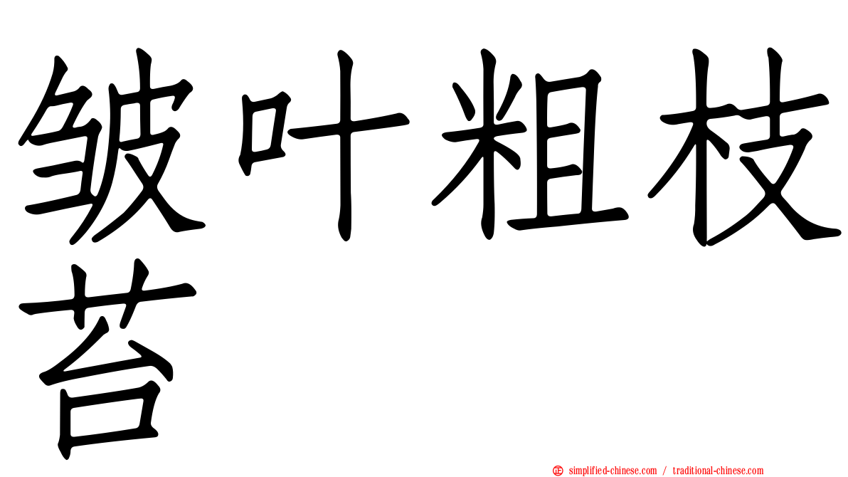 皱叶粗枝苔