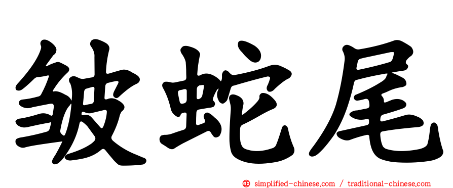 皱蛇尾