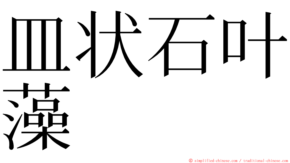 皿状石叶藻 ming font