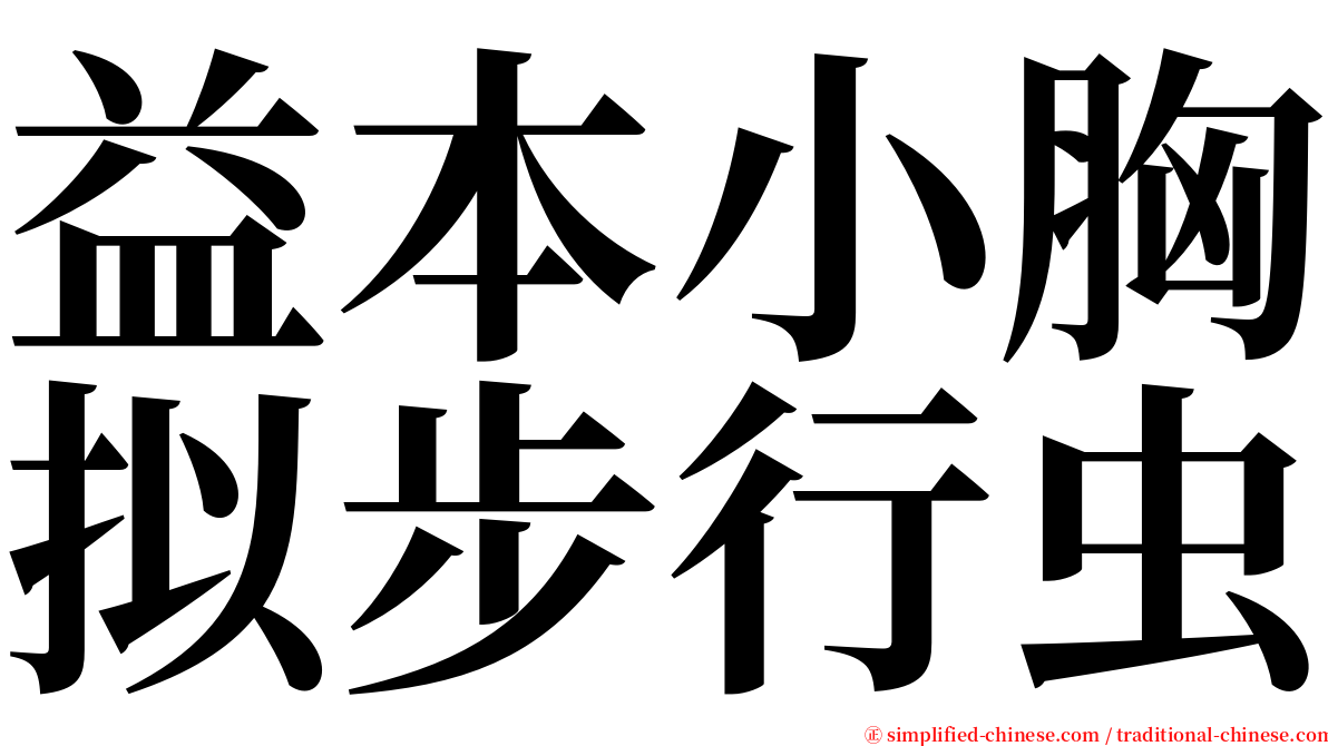 益本小胸拟步行虫 serif font