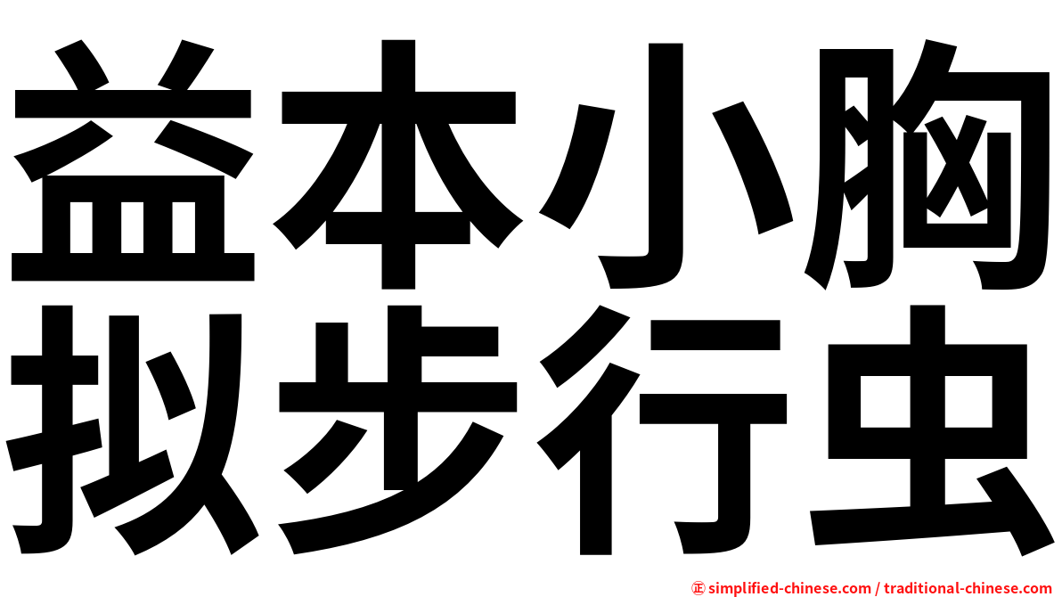 益本小胸拟步行虫