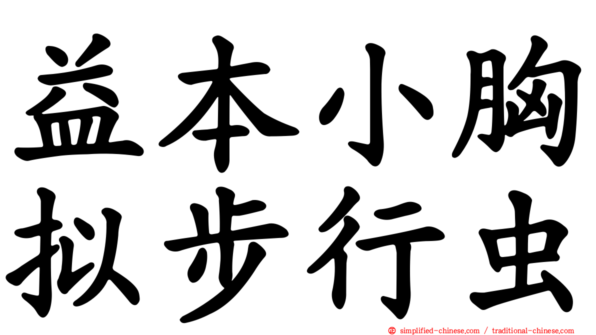 益本小胸拟步行虫
