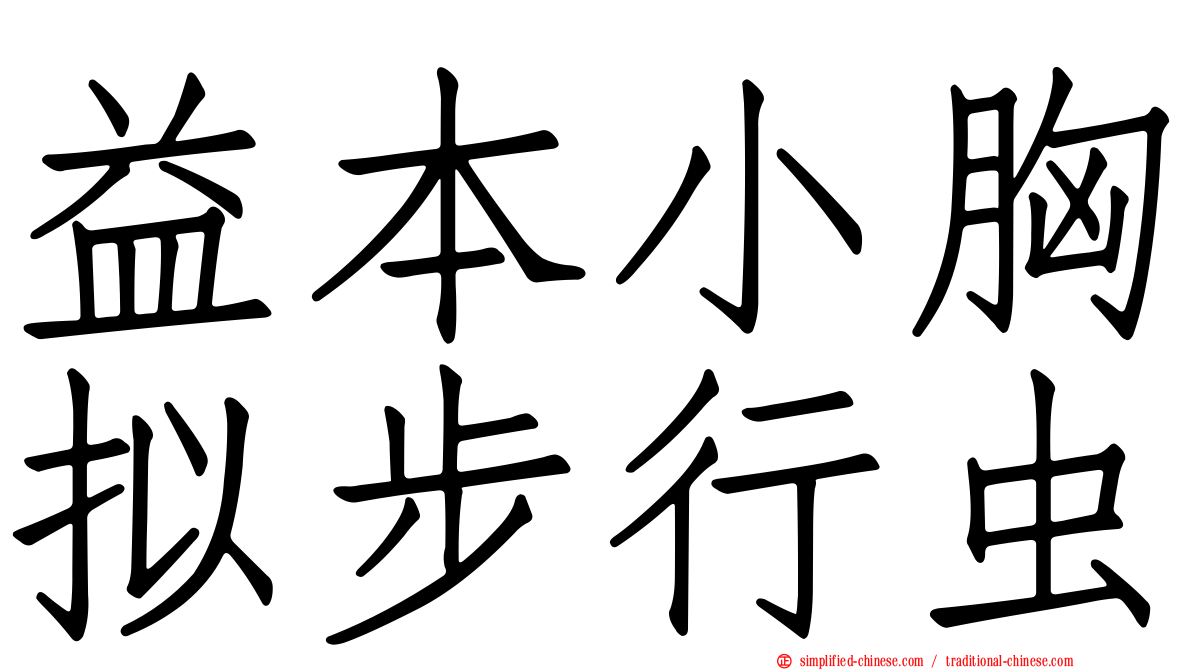 益本小胸拟步行虫