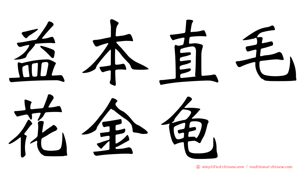 益本直毛花金龟
